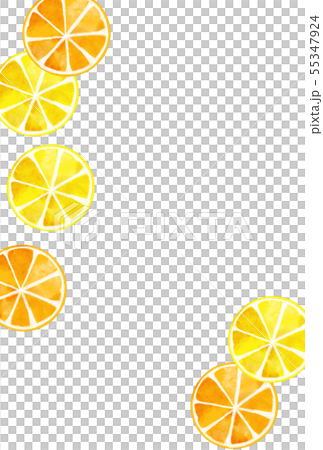 レモン オレンジ ポストカード レモン オレンジ ポストカード 55347924