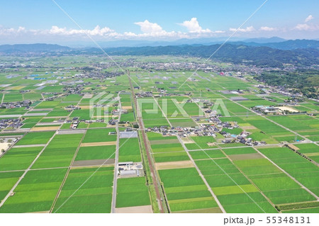 新緑の田園（八代平野）を空撮 55348131