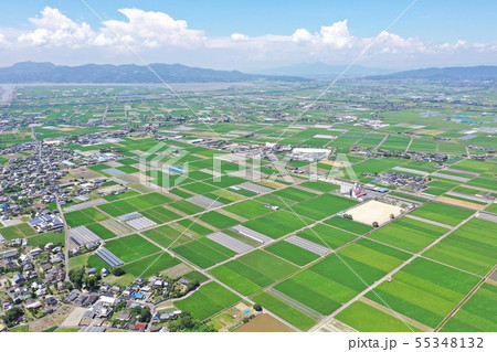 新緑の田園(八代平野)を空撮 新緑の田園(八代平野)を空撮 55348132