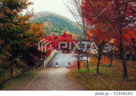 Autumn park in Kawaguchiko with mist Autumn park in Kawaguchiko with mist 55348163