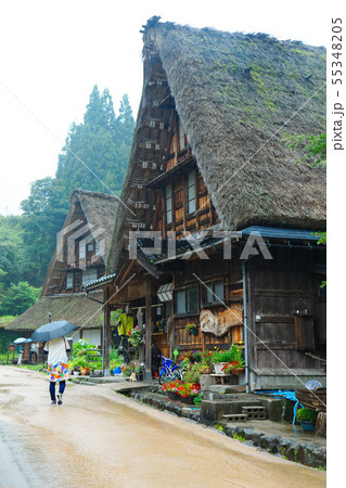 五箇山 菅沼合掌造り集落 五箇山 菅沼合掌造り集落 55348205