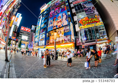 東京 秋葉原 夜の電気街 55348703