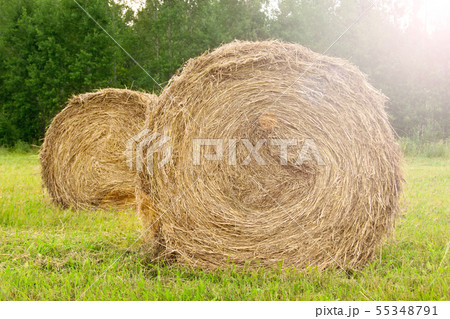 Hay close up. Haystacks. 55348791