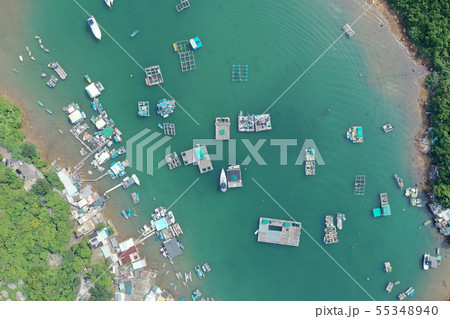 Po Toi O Chuen Bay, 22 july 2019 Po Toi O Chuen Bay, 22 july 2019 55348940
