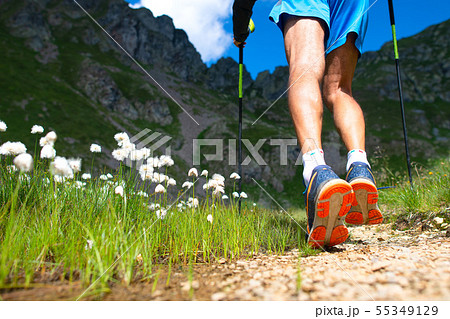 Detail of strong mountain walker on trail Detail of strong mountain walker on trail 55349129