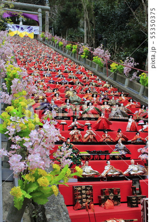 かつうらビッグひな祭り　千葉県勝浦市　遠見岬神社 55350375