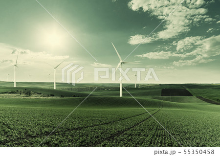 Wind turbines in field on sunrise Wind turbines in field on sunrise 55350458