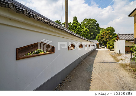 アジサイ寺　能護寺　熊谷 55350898