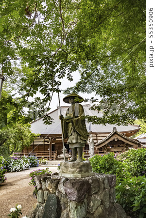 アジサイ寺 能護寺 熊谷 アジサイ寺 能護寺 熊谷 55350906
