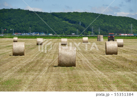 快晴の北海道江差町で牧草ロール作り作業の夏の風景を撮影 55351384