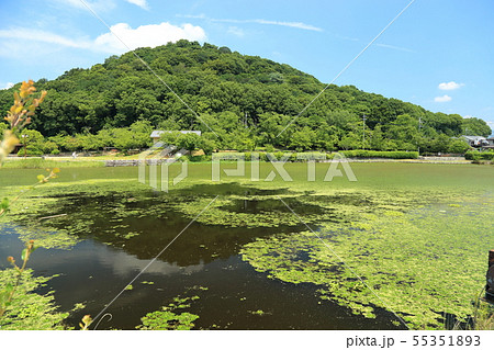 耳成山公園の古池 (大和三山) 【 奈良県橿原市 】 耳成山公園の古池 (大和三山) 【 奈良県橿原市 】 55351893