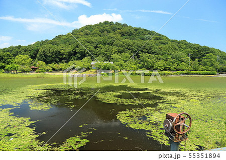 耳成山公園の古池 (大和三山) 【 奈良県橿原市 】 耳成山公園の古池 (大和三山) 【 奈良県橿原市 】 55351894