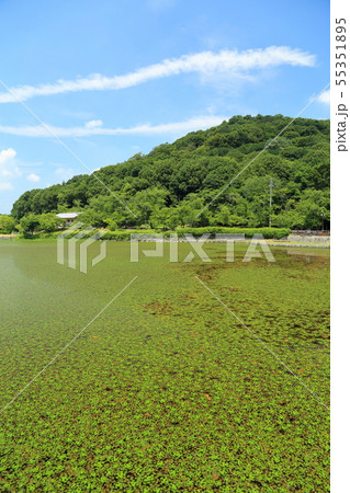 耳成山公園の古池 大和三山 奈良県橿原市 の写真素材