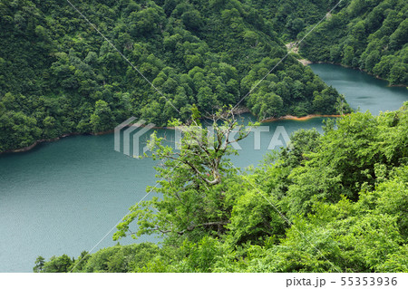 夏の田子倉湖ー国道252号から　福島県只見町 55353936