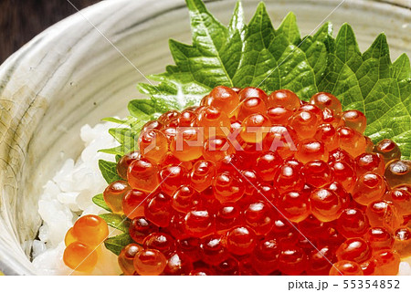 北海道の美味しいイクラの醤油漬けの写真素材