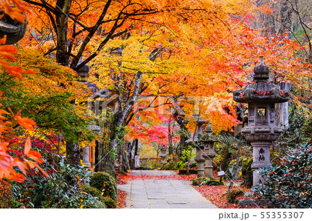 山本不動尊 (秋) 山本不動尊 (秋) 55355307