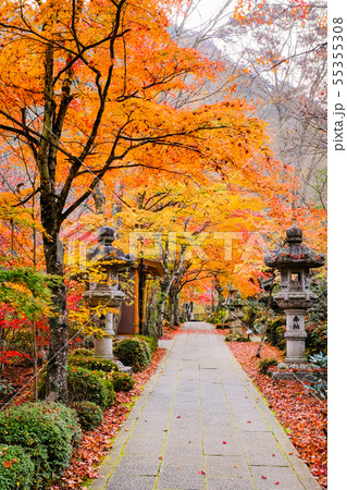 山本不動尊 （秋） 55355308