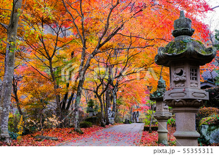 山本不動尊 （秋） 55355311