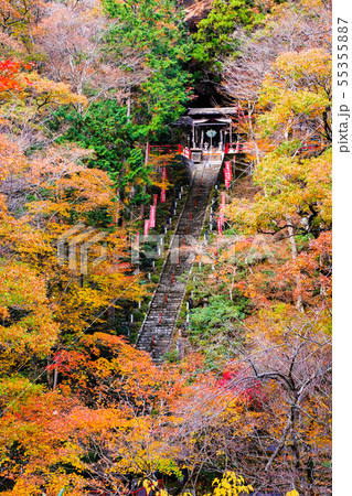 山本不動尊 (秋) 山本不動尊 (秋) 55355887