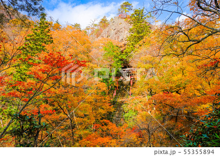 山本不動尊 （秋） 55355894