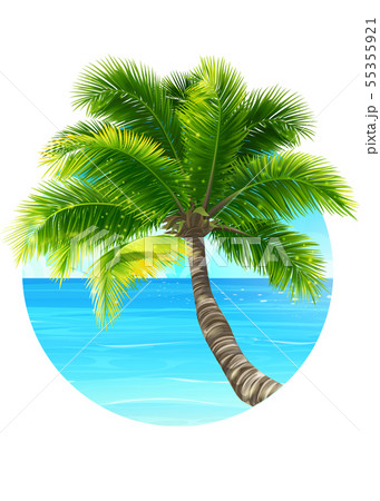Vector background illustration palm tree and ocean 55355921