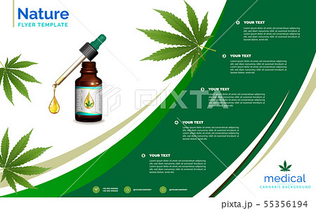 Cannabis or marijauna medical poster desing. 55356194