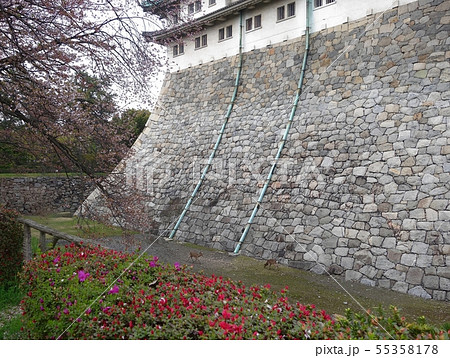 名古屋城 天守閣 桜 青空 名古屋城 天守閣 桜 青空 55358178