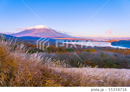 Beautiful fuji mountain in yamanakako or yamanaka lake 55358716