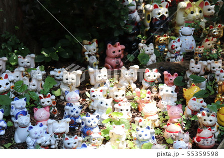 淡嶋神社（あわしまじんじゃ） 55359598