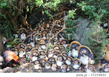 淡嶋神社（あわしまじんじゃ） 55359605