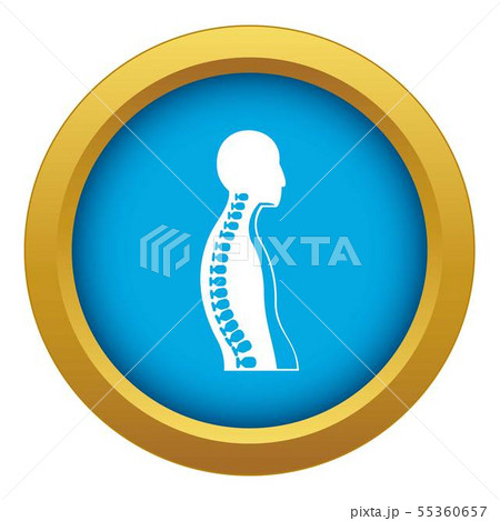 Human spine icon blue vector isolated 55360657