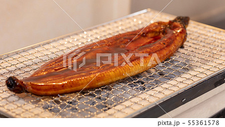 うなぎの炭火焼き（炭焼き・網焼き・七輪・バーベキュー・BBQ・bbq・焼肉・キャンプ・鰻の蒲焼き 55361578