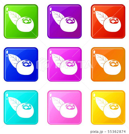 Cranberry icons set 9 color collection 55362874