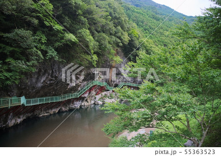 佐伯市本匠村 小半森林公園キャンプ場・大水車の里 佐伯市本匠村 小半森林公園キャンプ場・大水車の里 55363523