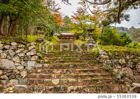 秋の滋賀坂本 日吉大社 早尾神社 秋の滋賀坂本 日吉大社 早尾神社 55363539