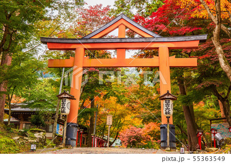 秋の滋賀坂本　日吉大社 55363549