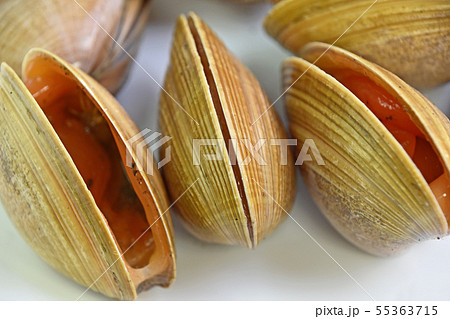 バカガイ（馬鹿貝） 55363715