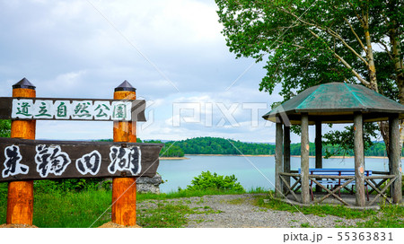 初夏の朱鞠内湖　幌加内町　16：9 55363831