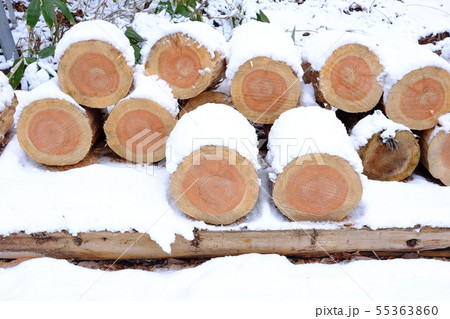 雪が積もった丸太 55363860