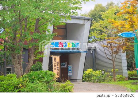佐伯市弥生町 番匠おさかな館・道の駅やよい 佐伯市弥生町 番匠おさかな館・道の駅やよい 55363920