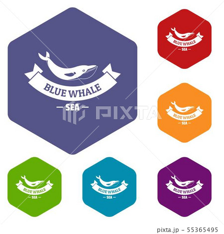Blue whale icons vector hexahedron 55365495