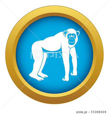 Chimpanzee icon blue vector isolated Chimpanzee icon blue vector isolated 55366039