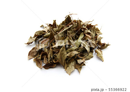 ヘナの葉 ヘナの葉 55366922