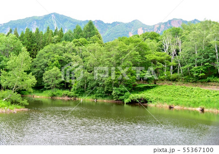 初夏の天池 初夏の天池 55367100