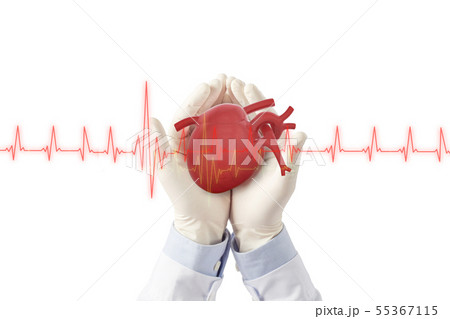 doctor hold heart show signel heart beat doctor hold heart show signel heart beat 55367115