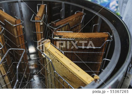 養蜂家の蜂蜜採取 55367265