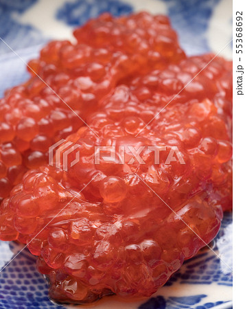 筋子の醤油漬け 筋子の醤油漬け 55368692