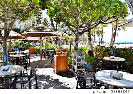 ハワイの休日 55368847