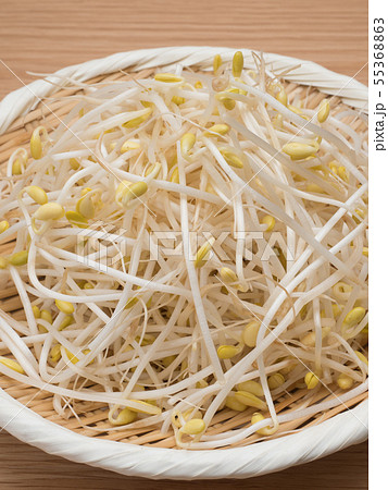 マメモヤシ 55368863