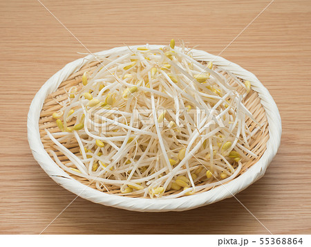 マメモヤシ 55368864